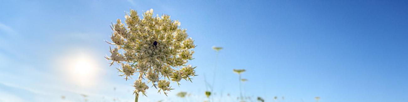 Halbjahresprogramm März bis August 2026