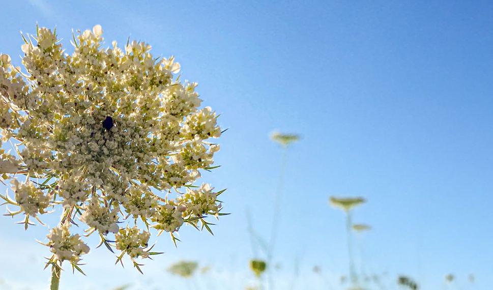 Halbjahresprogramm März bis August 2026