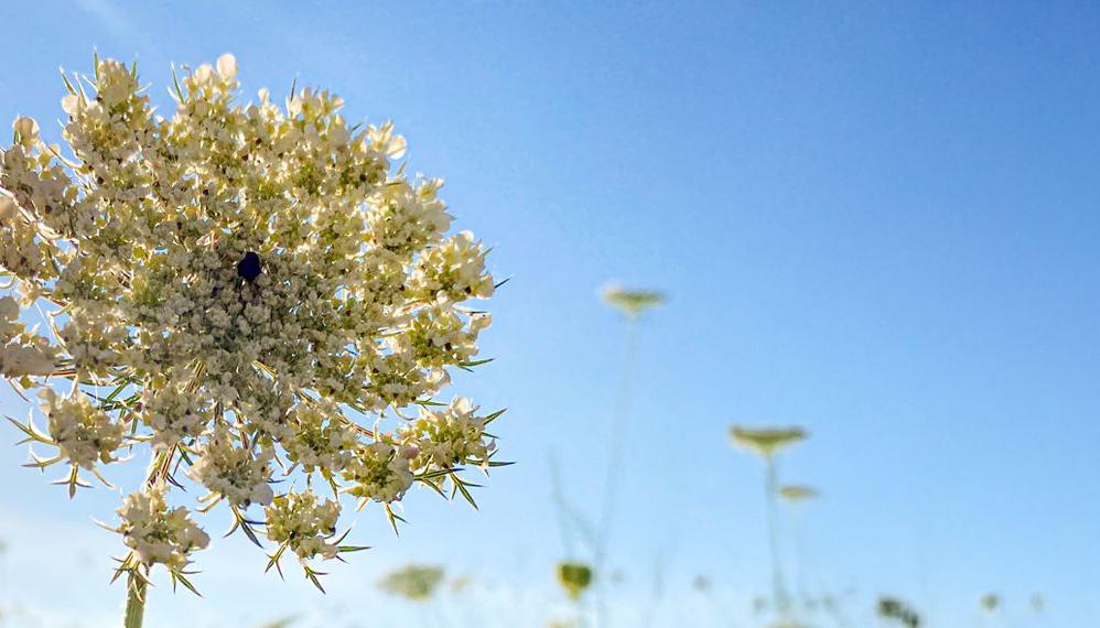 Halbjahresprogramm März bis August 2026