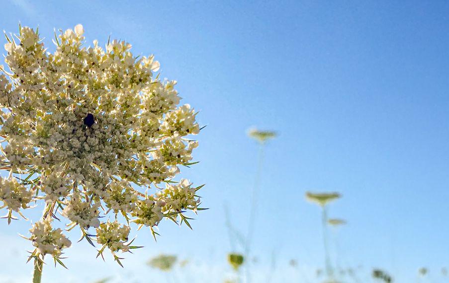 Halbjahresprogramm März bis August 2026