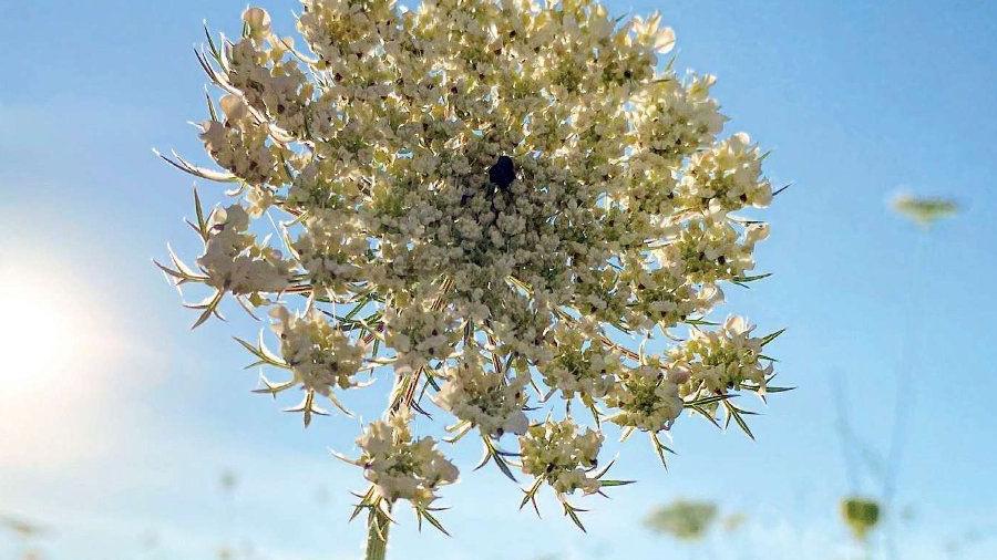 Halbjahresprogramm 03 - 08/2026